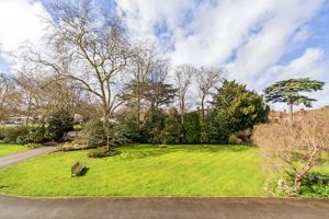 Communal Gardens- click for photo gallery